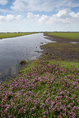 BUITEN BEELD Foto: 172012