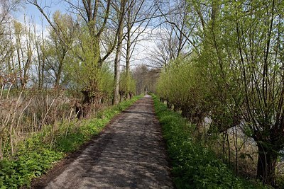 BUITEN BEELD Foto: 172053