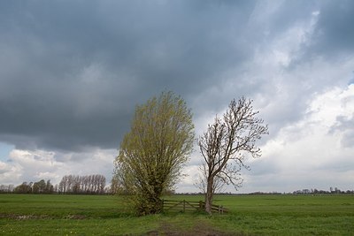 BUITEN BEELD Foto: 172055