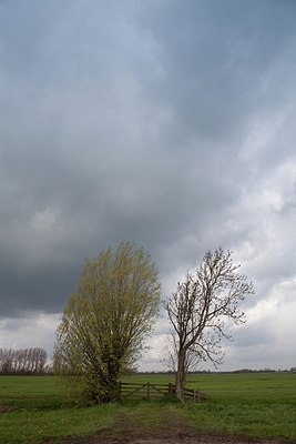BUITEN BEELD Foto: 172056