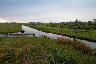 BUITEN BEELD Foto: 172063