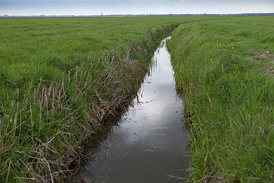 BUITEN BEELD Foto: 172065