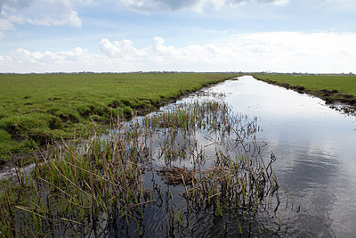 BUITEN BEELD Foto: 172079