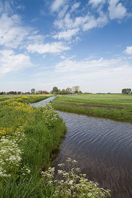 BUITEN BEELD Foto: 172085