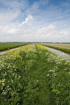 BUITEN BEELD Foto: 172091