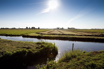 BUITEN BEELD Foto: 172094