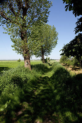 BUITEN BEELD Foto: 172104