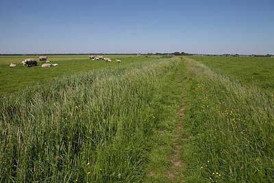 BUITEN BEELD Foto: 172108
