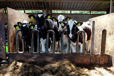 BUITEN BEELD Foto: 172210