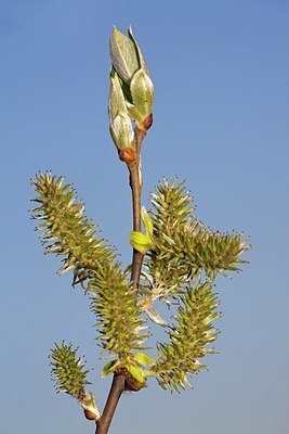 BUITEN BEELD Foto: 172265