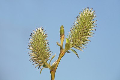 BUITEN BEELD Foto: 172270