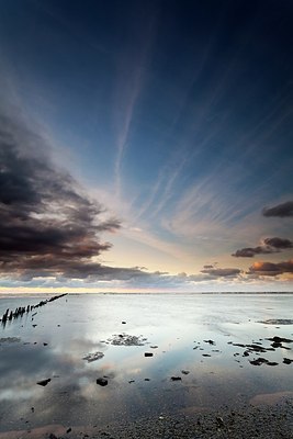 BUITEN BEELD Foto: 172316