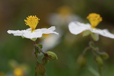 BUITEN BEELD Foto: 172377