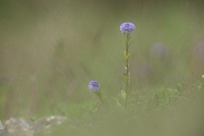 BUITEN BEELD Foto: 172387