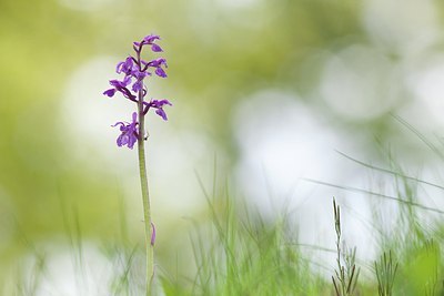 BUITEN BEELD Foto: 172426