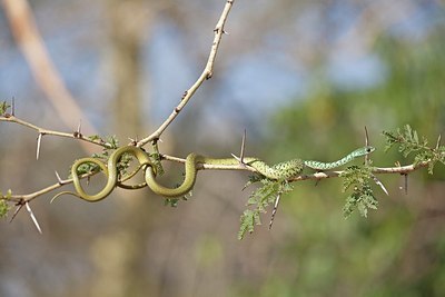 BUITEN BEELD Foto: 172432