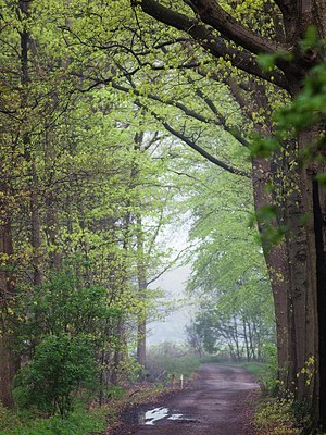 BUITEN BEELD Foto: 172457