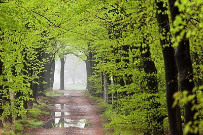 BUITEN BEELD Foto: 172458