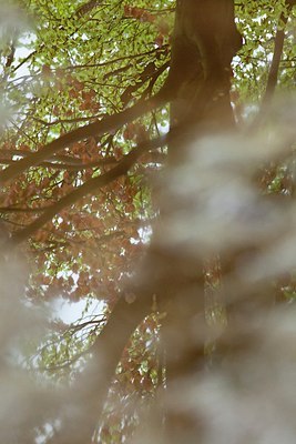 BUITEN BEELD Foto: 172461