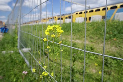 BUITEN BEELD Foto: 172489