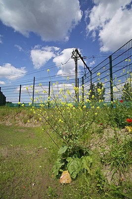 BUITEN BEELD Foto: 172493