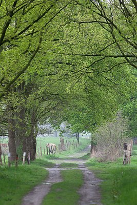 BUITEN BEELD Foto: 172506