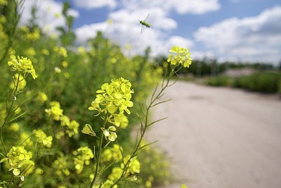 BUITEN BEELD Foto: 172507