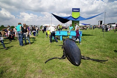 BUITEN BEELD Foto: 172523
