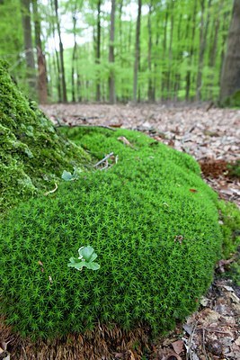 BUITEN BEELD Foto: 172532