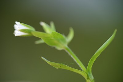 BUITEN BEELD Foto: 172539