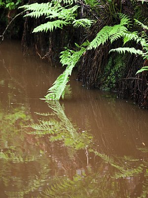 BUITEN BEELD Foto: 172551