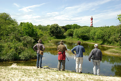 BUITEN BEELD Foto: 172561