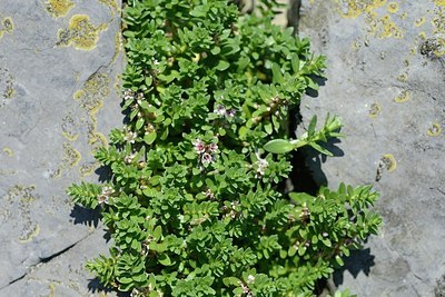 BUITEN BEELD Foto: 172580