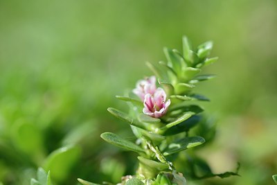 BUITEN BEELD Foto: 172585