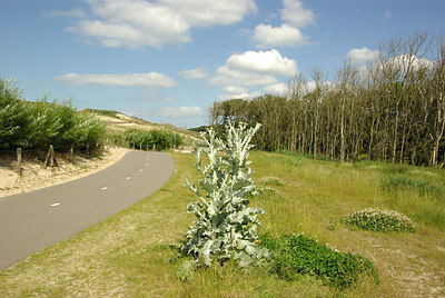 BUITEN BEELD Foto: 172608