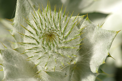 BUITEN BEELD Foto: 172615