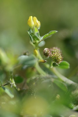 BUITEN BEELD Foto: 172655