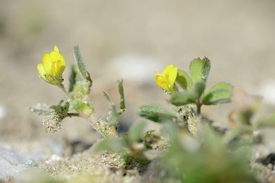 BUITEN BEELD Foto: 172664