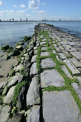 BUITEN BEELD Foto: 172679