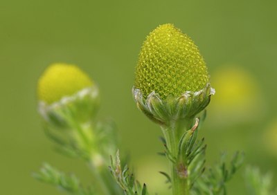 BUITEN BEELD Foto: 172686