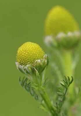 BUITEN BEELD Foto: 172688
