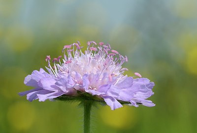 BUITEN BEELD Foto: 172690