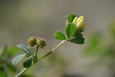 BUITEN BEELD Foto: 172704