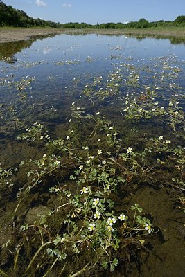 BUITEN BEELD Foto: 172728