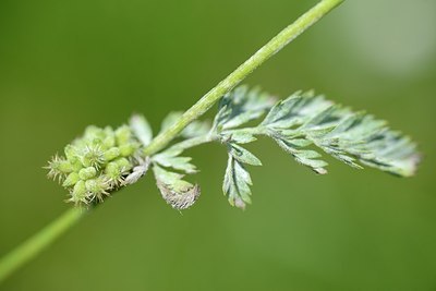 BUITEN BEELD Foto: 172738