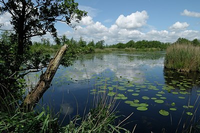 BUITEN BEELD Foto: 172763