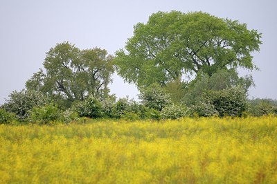 BUITEN BEELD Foto: 172766