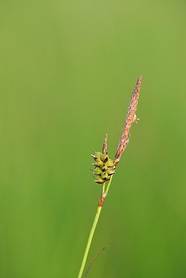 BUITEN BEELD Foto: 172776
