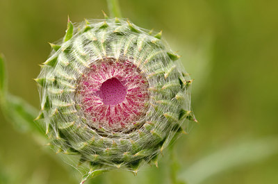 BUITEN BEELD Foto: 172855