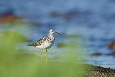 BUITEN BEELD Foto: 172882